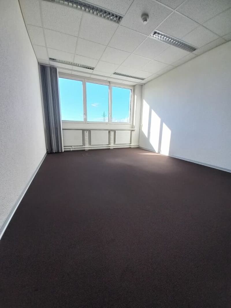 Spazio Ufficio/Commerciale con Vista Rurale (2)