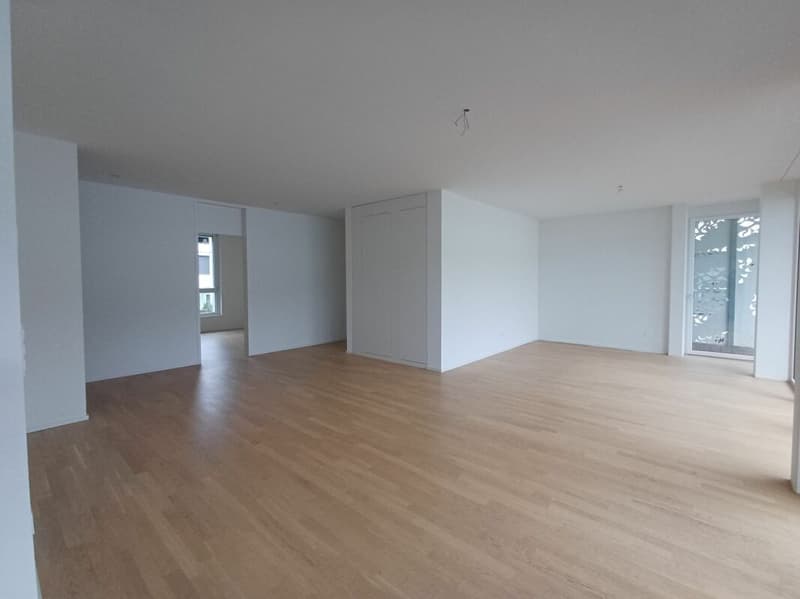 Appartamento attraente di 4,5 locali con balcone a sud (2)