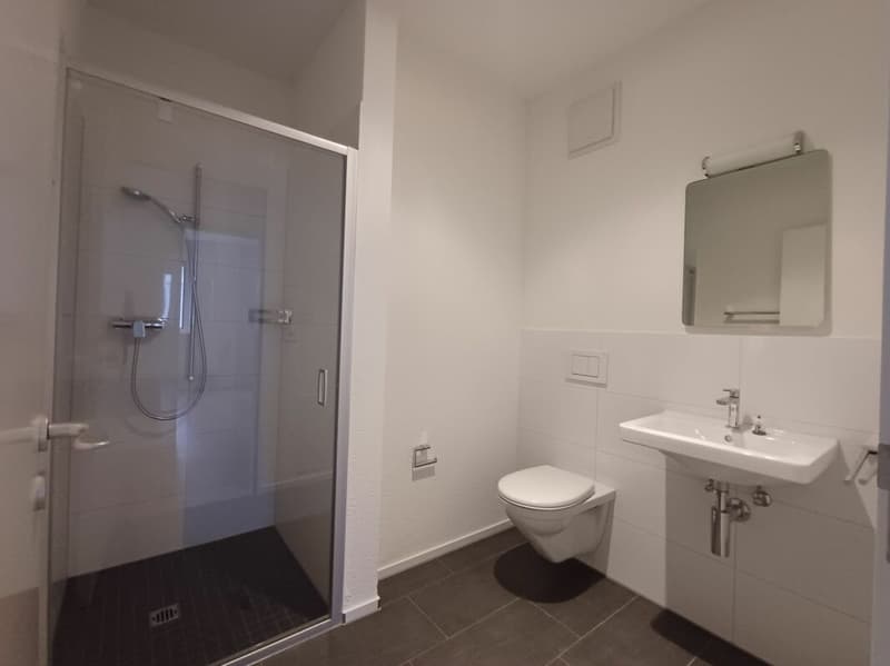 Appartamento attraente di 4,5 locali con balcone a sud (6)