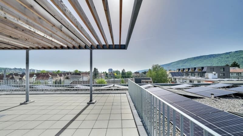 Möbliertes BASIC Apartment - 25 m2 (18)