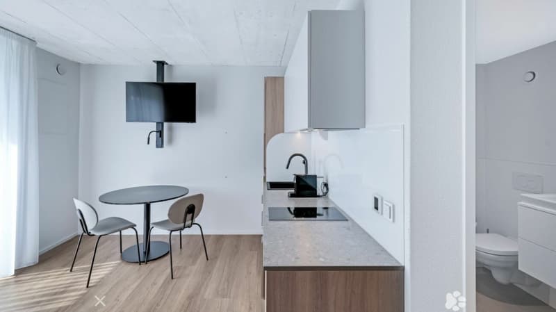 Möbliertes BASIC Apartment - 25 m2 (2)
