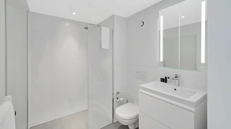 Möbliertes BASIC Apartment - 25 m2 (10)
