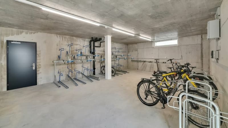 Möbliertes BASIC Apartment - 25 m2 (19)