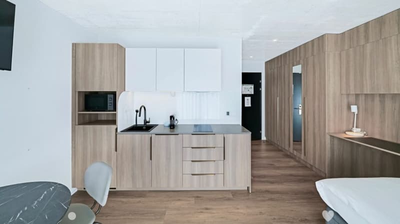 Vollmöbliertes BASIC Apartment - 25 m2 (3)