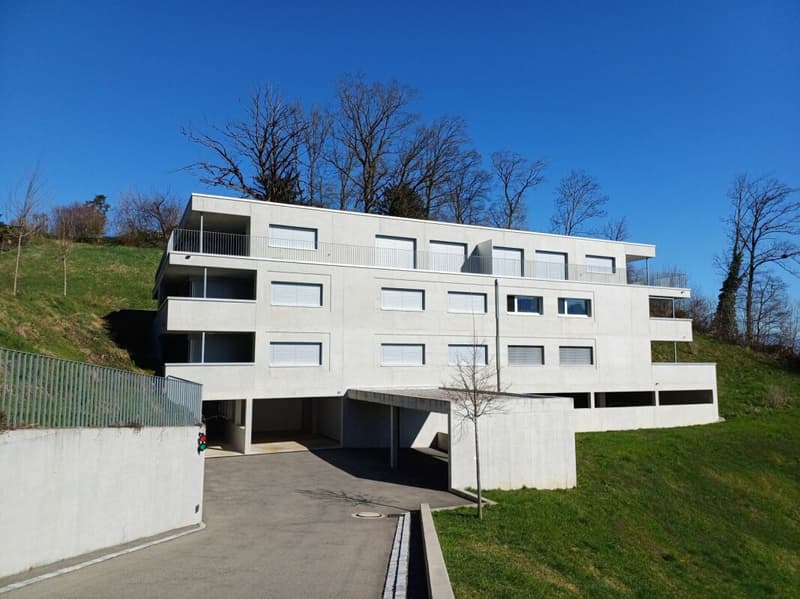 Exklusive 3.5 Zimmer-Eigentumswohnung  zu vermieten (11)