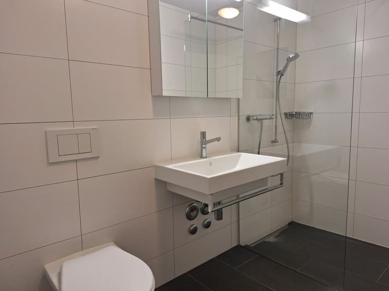 Schöne 3.5 Zimmerwohnung im 1. OG (7)