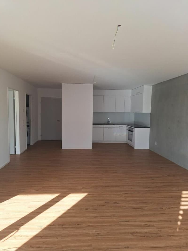 Attractive 2.5-room apartment with comfortable loggia (3)