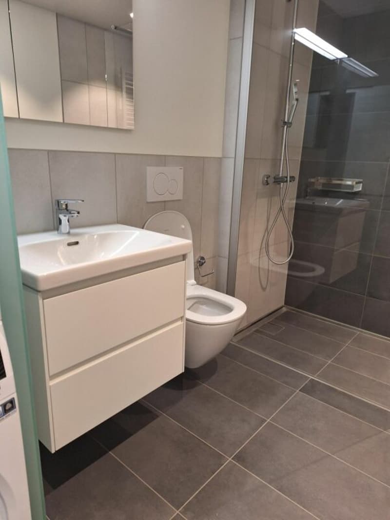 Attractive 2.5-room apartment with comfortable loggia (7)