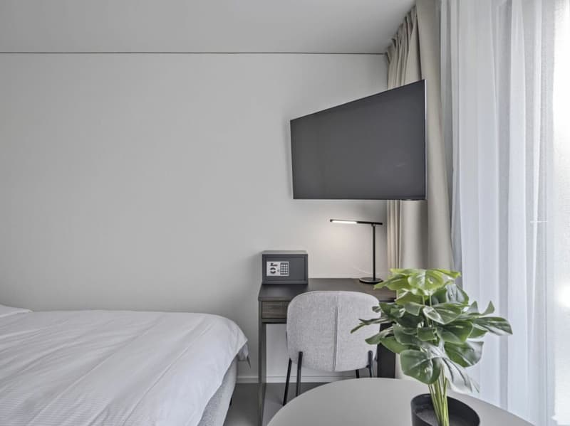 Möbliertes BASIC Apartment - 25 m2 (5)