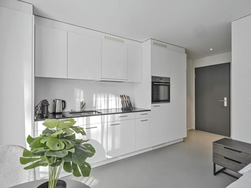 Möbliertes BASIC Apartment - 25 m2 (4)