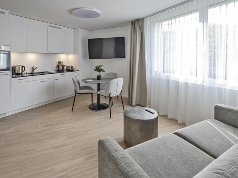 Möbliertes SUPERIOR Apartment - 52 m2 (1)
