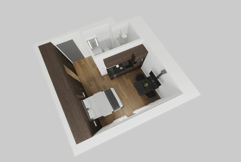 Vollmöbliertes BASIC Apartment - 25 m2 (2)