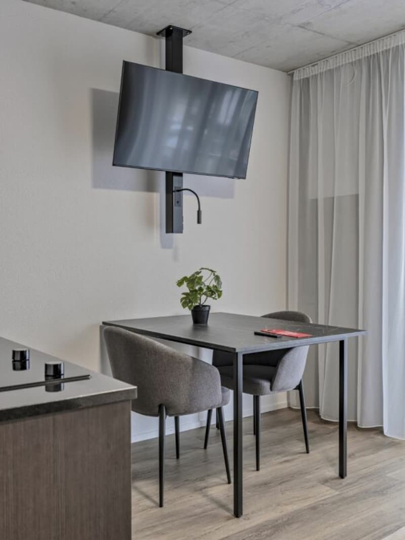 Vollmöbliertes BASIC Apartment - 25 m2 (9)