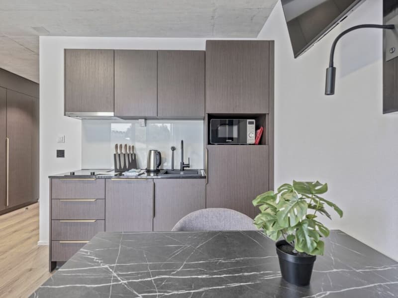 Vollmöbliertes BASIC Apartment - 25 m2 (8)