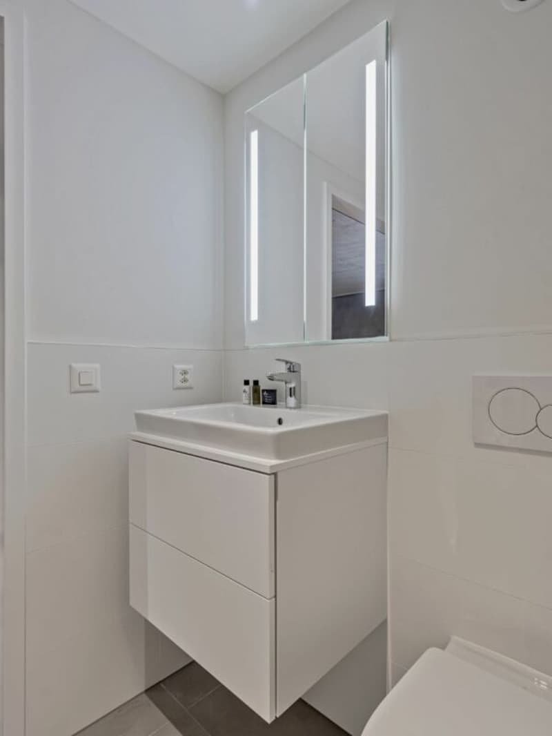 Vollmöbliertes BASIC Apartment - 25 m2 (14)