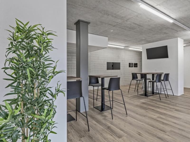 Vollmöbliertes BASIC Apartment - 25 m2 (16)