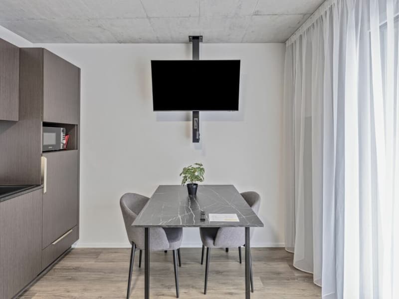 Vollmöbliertes BASIC Apartment - 25 m2 (11)