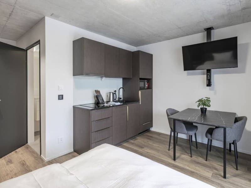 Vollmöbliertes BASIC Apartment - 25 m2 (6)