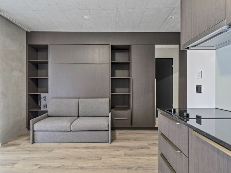 Vollmöbliertes BASIC Apartment - 25 m2 (1)