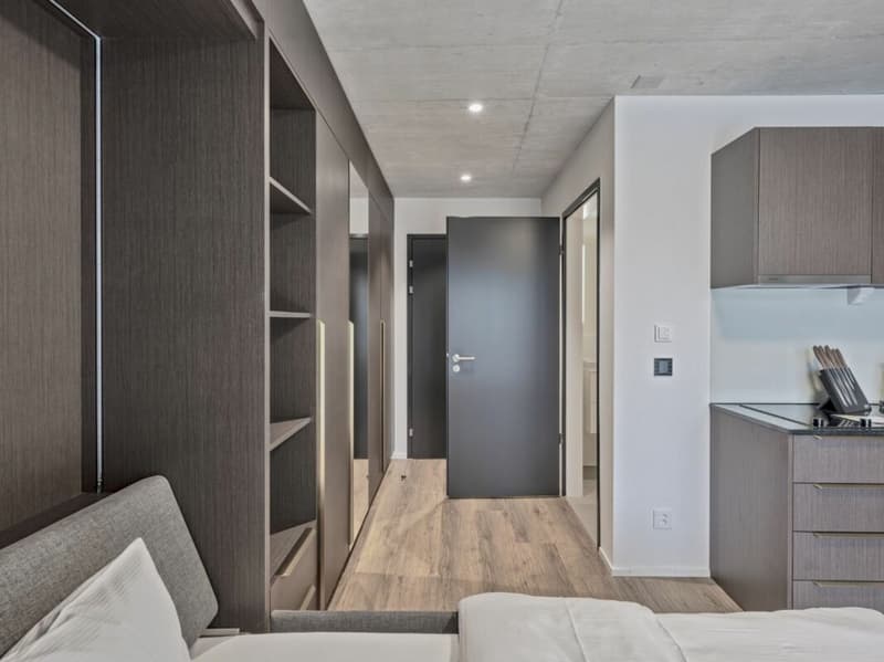 Vollmöbliertes BASIC Apartment - 25 m2 (3)