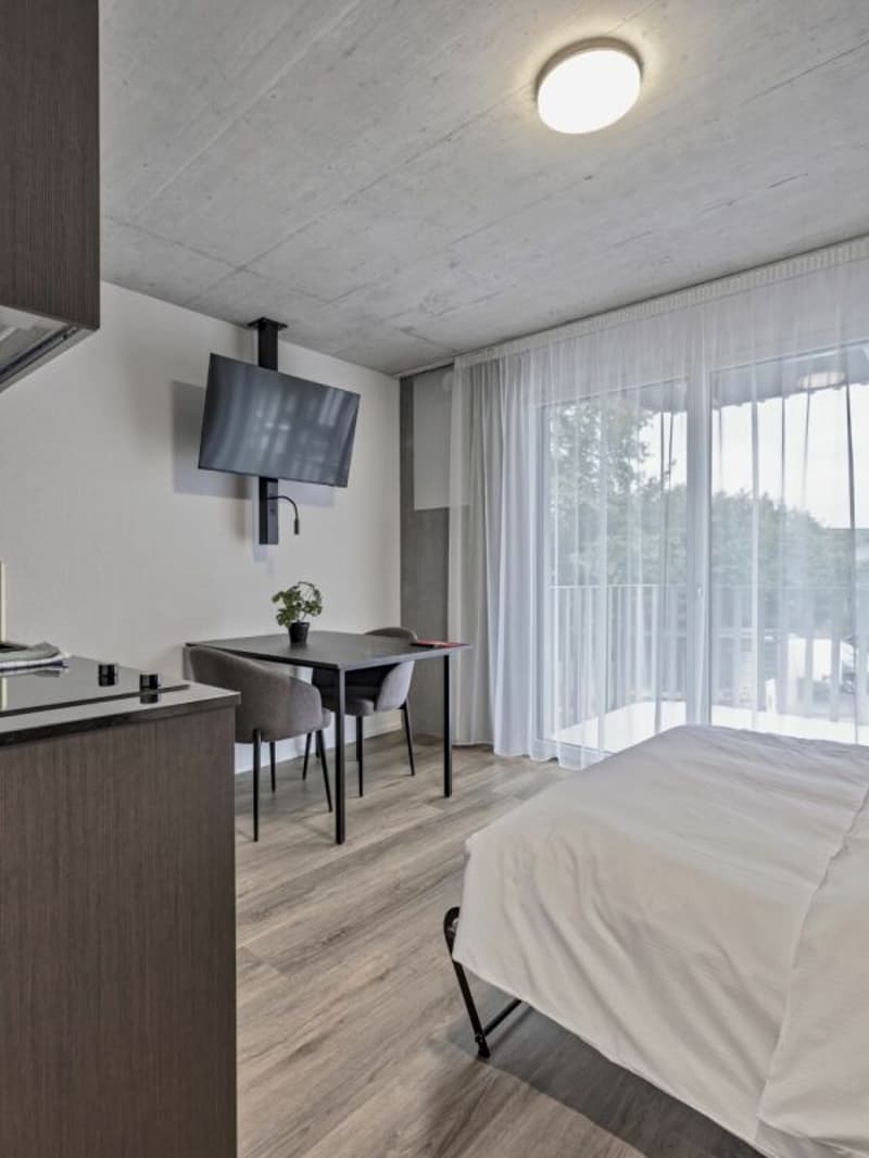 Vollmöbliertes BASIC Apartment - 25 m2 (10)