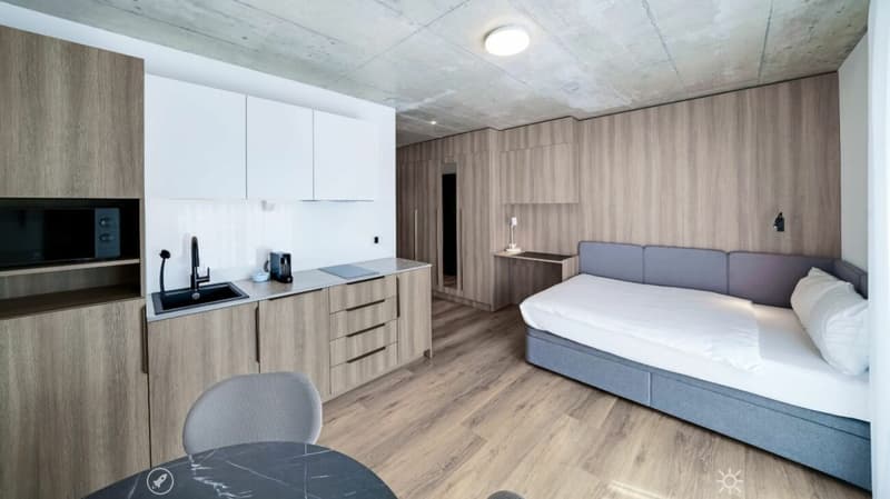Möbliertes BASIC Apartment - 25 m2 (4)