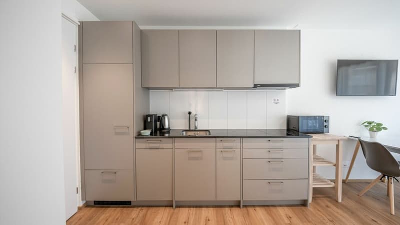 Vollmöbliertes BASIC Apartment - 24 m2 (3)