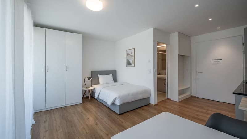 Vollmöbliertes BASIC Apartment - 24 m2 (1)