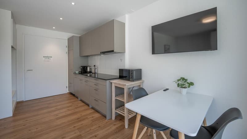 Vollmöbliertes BASIC Apartment - 24 m2 (5)