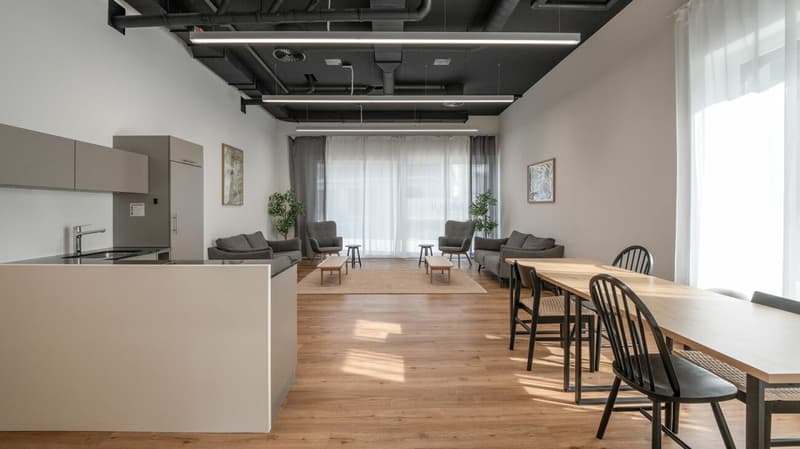 Vollmöbliertes BASIC Apartment - 24 m2 (19)
