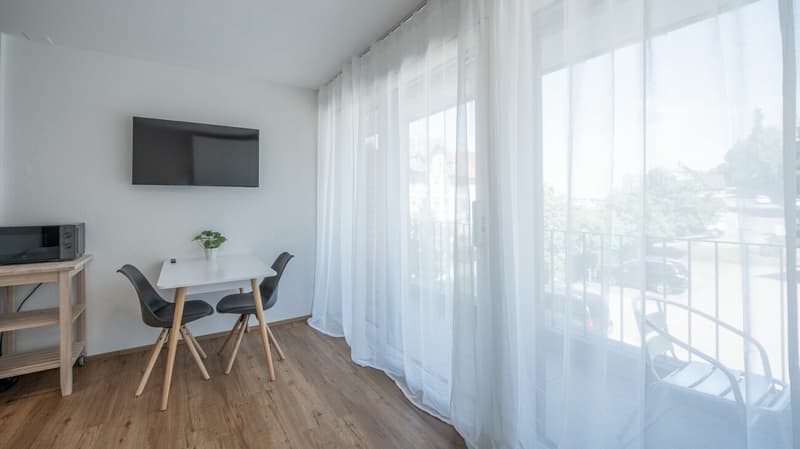 Vollmöbliertes BASIC Apartment - 24 m2 (8)