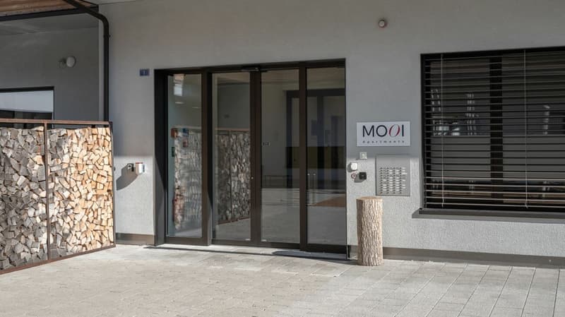 Vollmöbliertes BASIC Apartment - 24 m2 (15)
