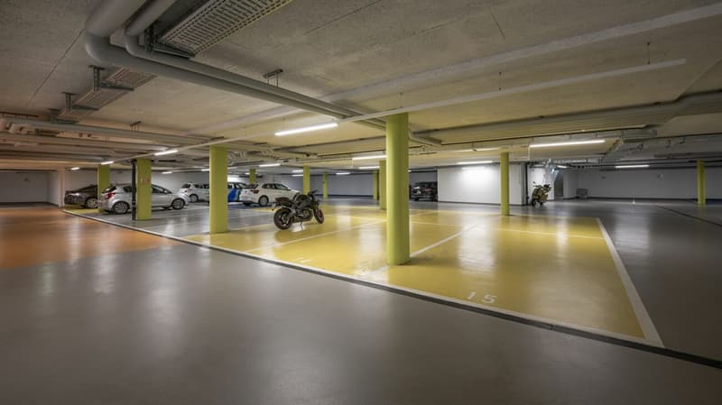 Möbliertes BASIC Apartment - 24 m2 (26)