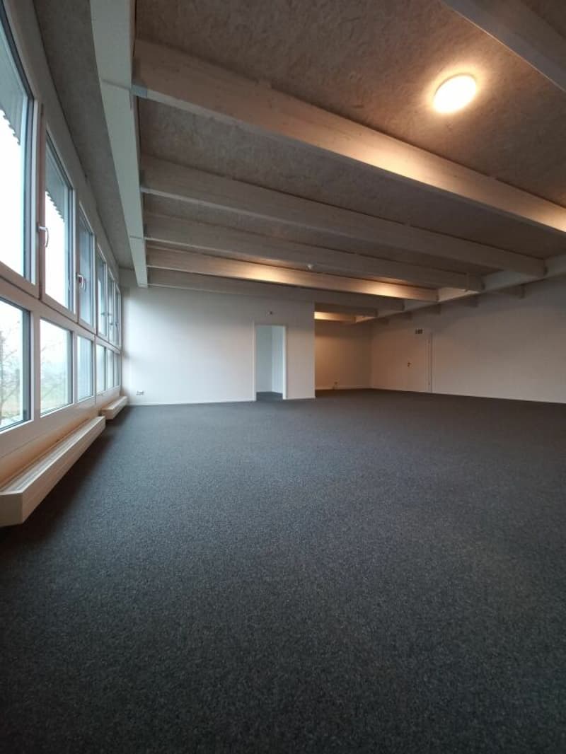 Attraktive Bürofläche zu vermieten (1)