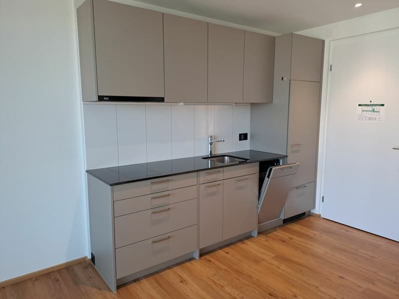 Bright 1.5-room apartments with balcony (5)