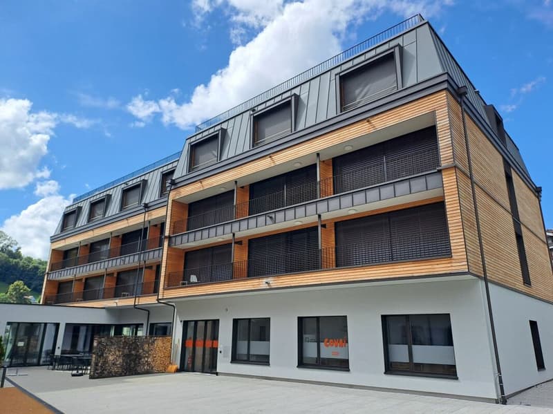 Bright 1.5-room apartments with balcony (11)
