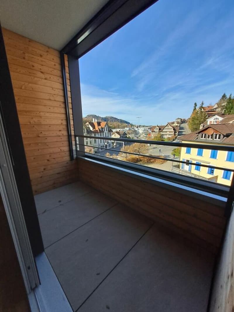 Bright 1.5-room apartments with balcony (6)