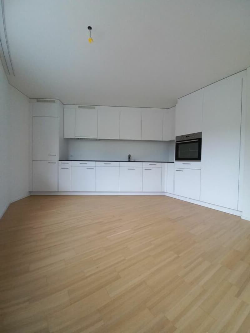 Grosszügige 3.5 Zimmerwohnung (3)