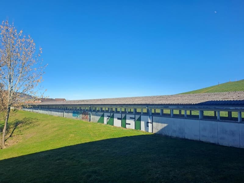 Grosse Lagerfläche (413 m²) im Westen von St. Gallen (1)