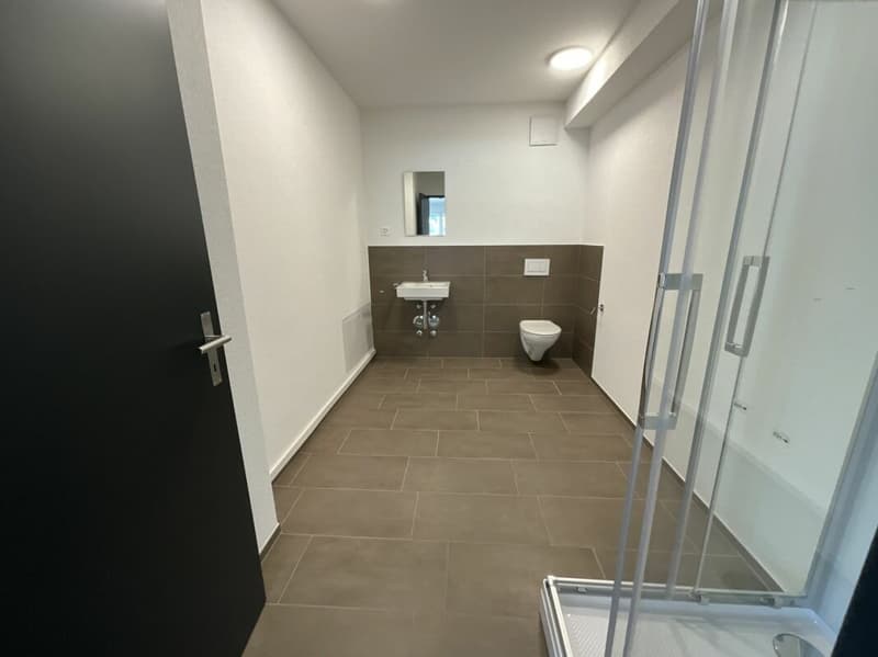 2.5 Zimmerwohnung in Loft-Style (9)
