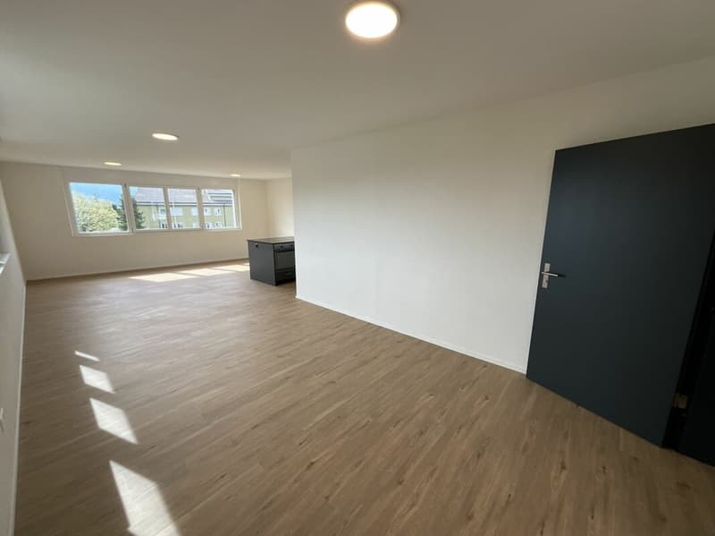 2.5 Zimmerwohnung in Loft-Style (4)
