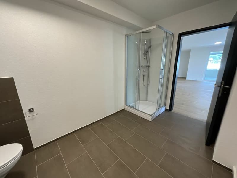 2.5 Zimmerwohnung in Loft-Style (10)