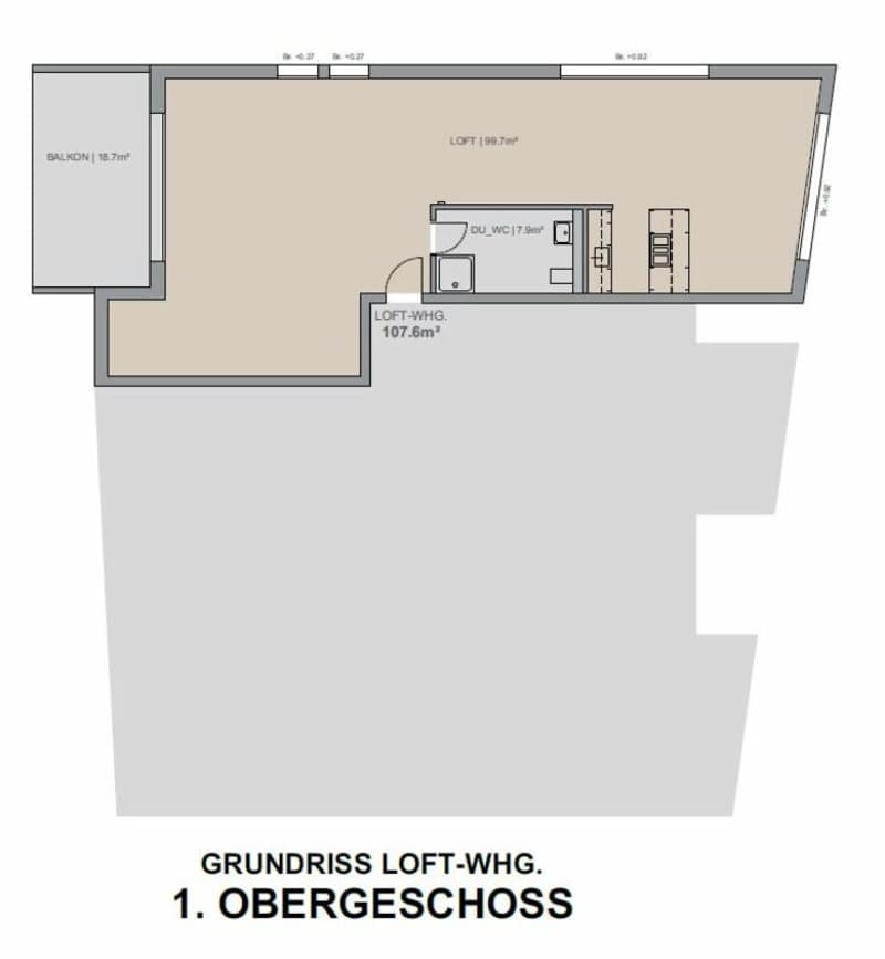 2.5 Zimmerwohnung in Loft-Style (11)