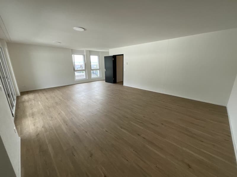 2.5 Zimmerwohnung in Loft-Style (6)