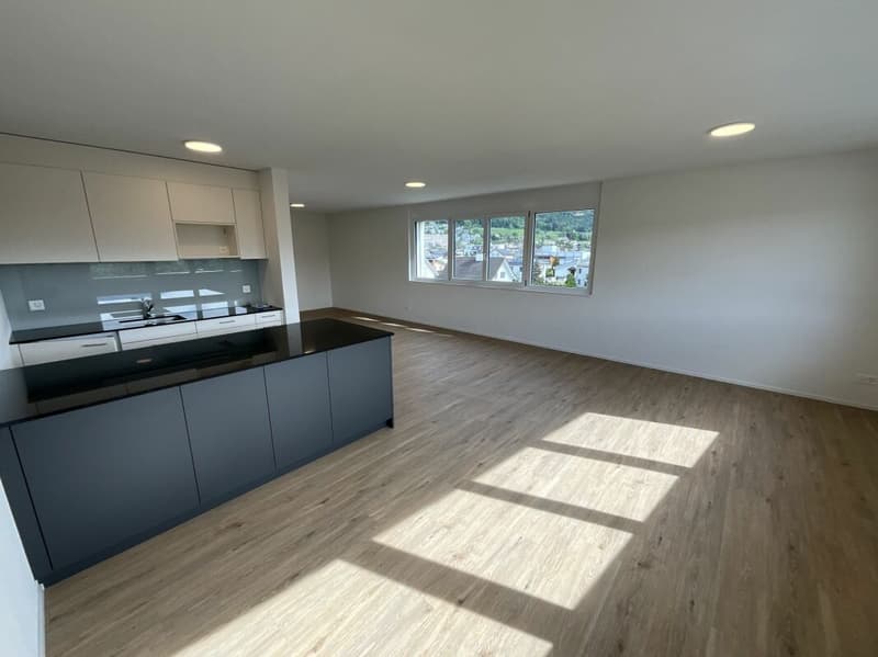 2.5 Zimmerwohnung in Loft-Style (2)
