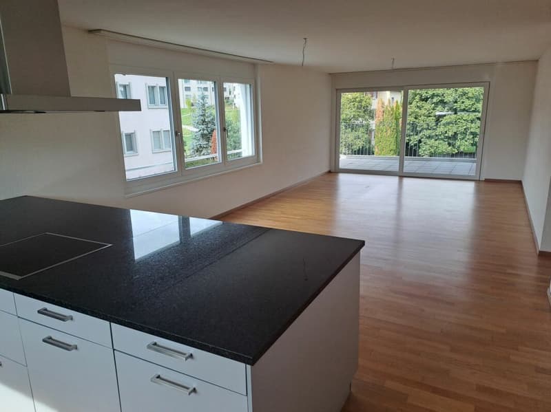Helle 4.5 Zimmer-Wohnung (1)