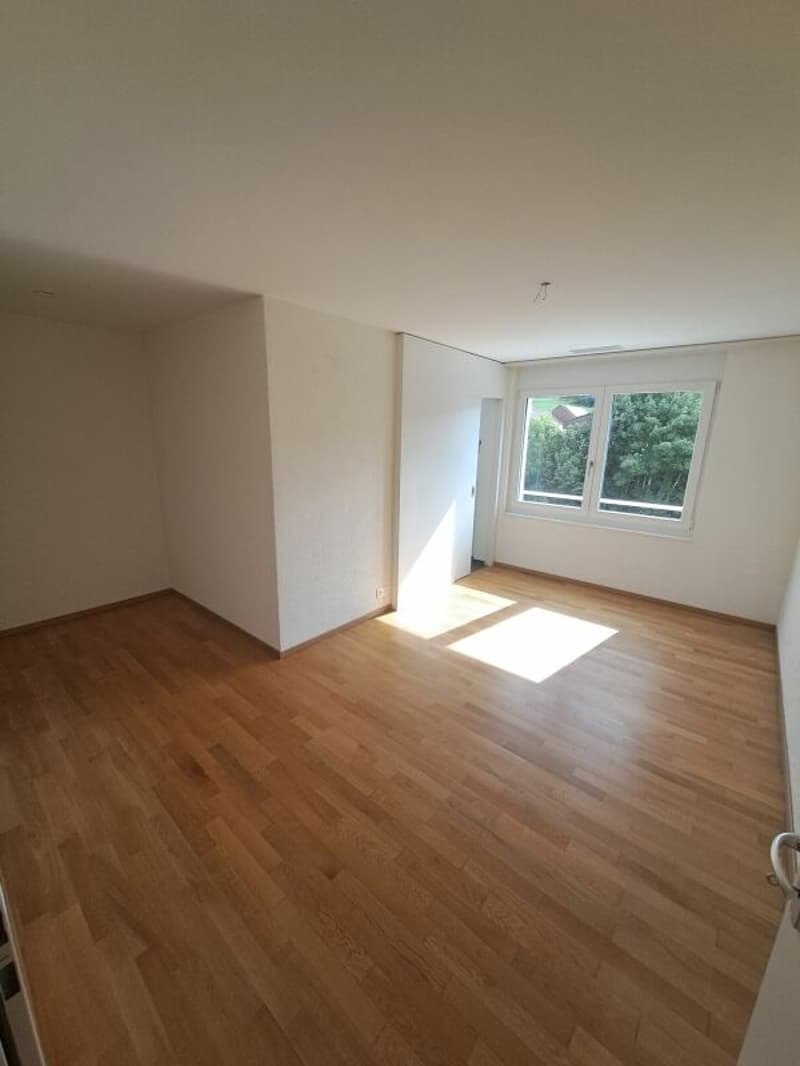Helle 4.5 Zimmer-Wohnung (4)