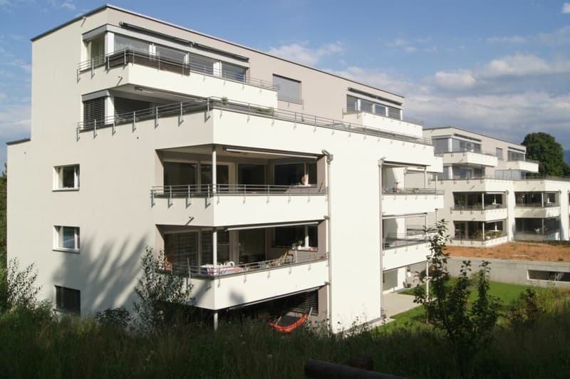 Aussenansicht 1