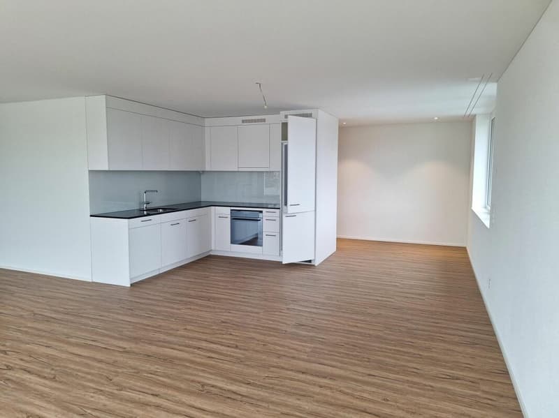 Grosszügige 2.5 Attikawohnung mit 79m2 (3)