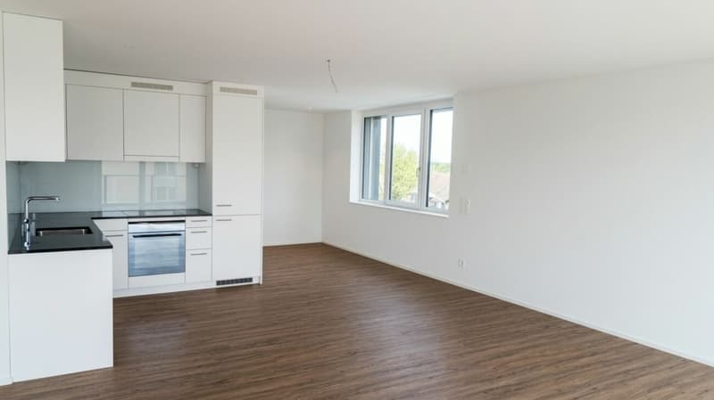 Grosszügige 2.5 Attikawohnung mit 79m2 (7)